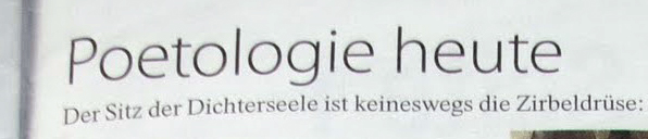 Poetologie FAZ zur Buchmesse 2011