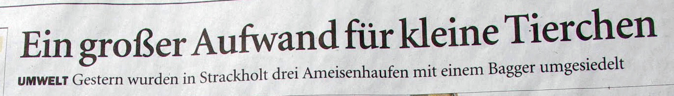 Schlagzeile Ostfriesen Zeitung