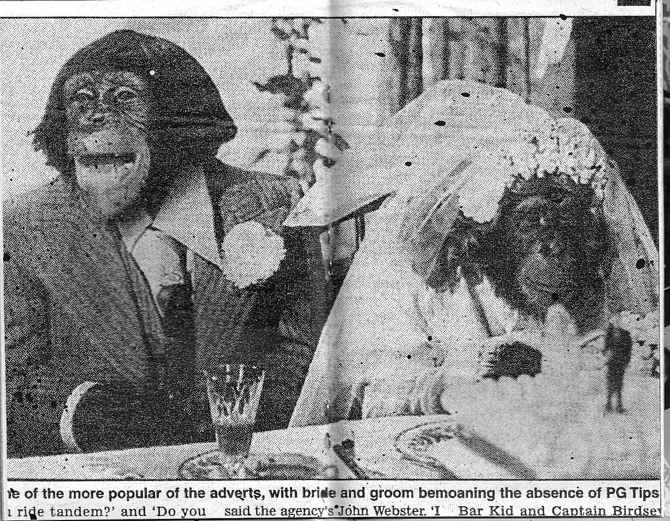 Apes do a marriage